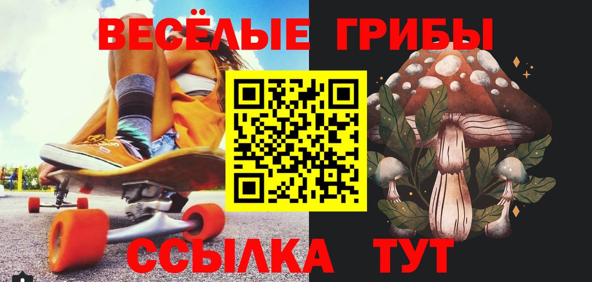 Галлюциногенные грибы GOLDEN TEACHER  Псилоцибиновые грибы мухоморы  купить наркотик  Тихвин  Вход с VPN 